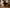 Aktionsbanner
